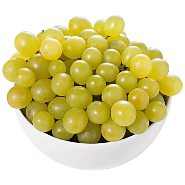 528435 product